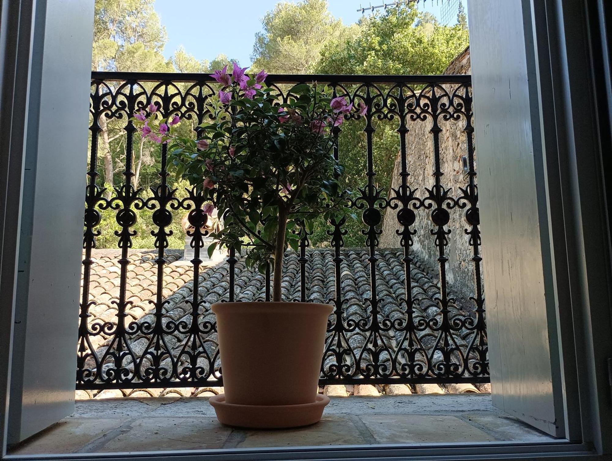 La Maison De La Traverse Saint-Guilhem-le-Desert Exterior foto