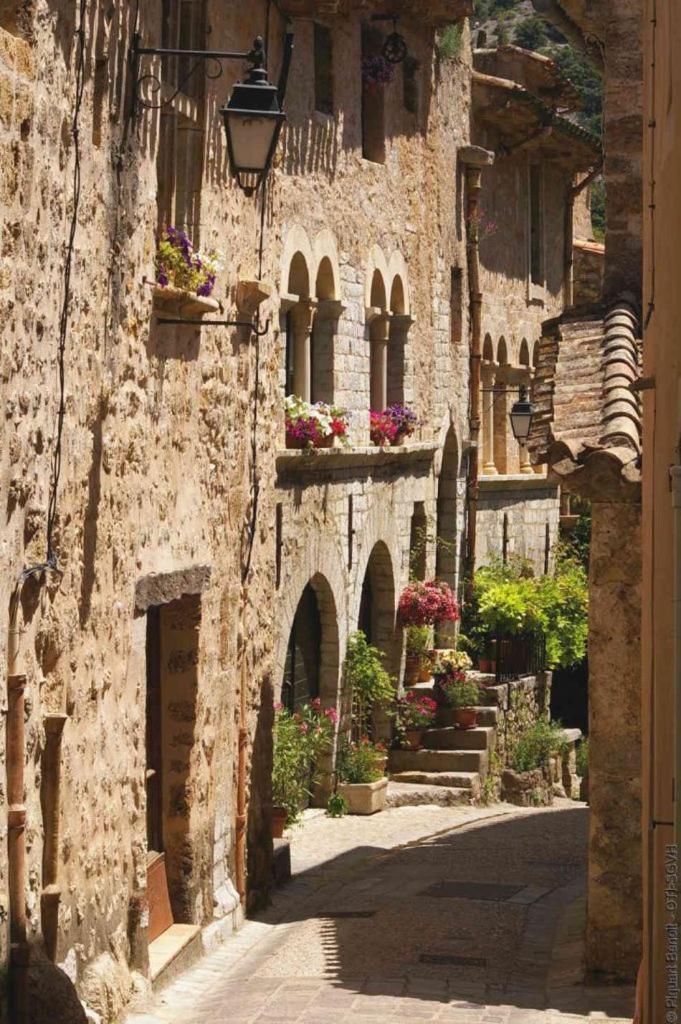 La Maison De La Traverse Saint-Guilhem-le-Desert Exterior foto